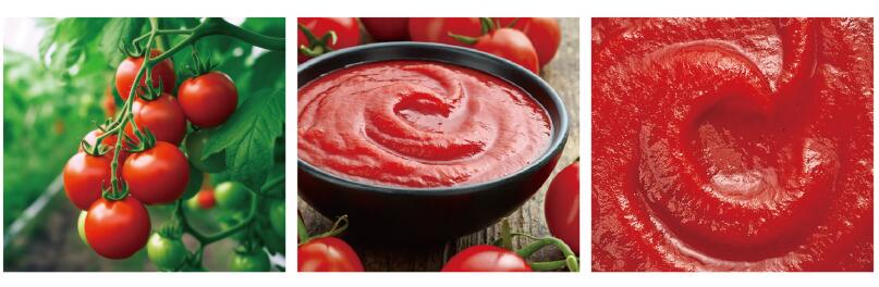 Tomato-paste Tomato-paste
